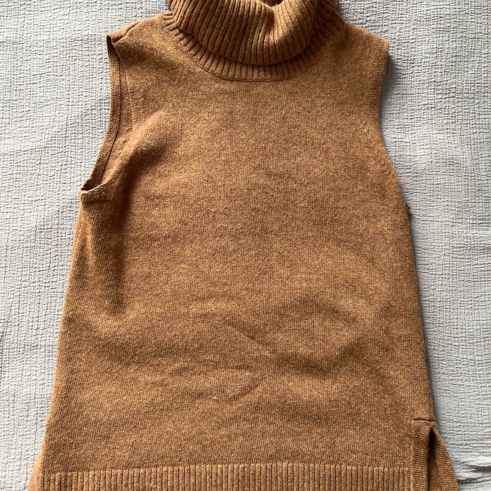 JCrew Turtleneck Sweater